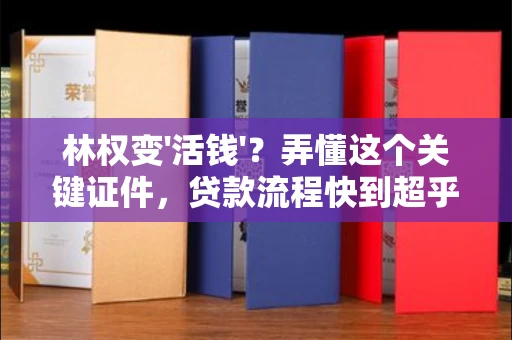 全国林权变'活钱'?弄懂这个关键证件,贷款流程快到超乎想象!