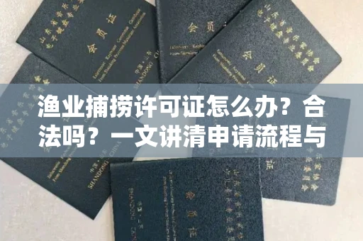 全国渔业捕捞许可证怎么办?合法吗?一文讲清申请流程与合规要点